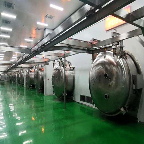 Freeze dryers for fruits