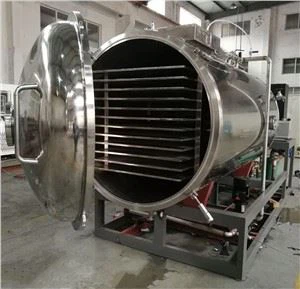 Frystorkade produkter Vakuum Frystorkmaskin