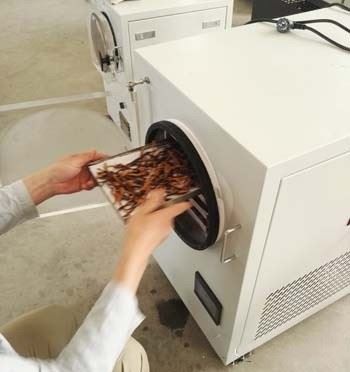 Mini Freeze Drayer For Home/lab/factory